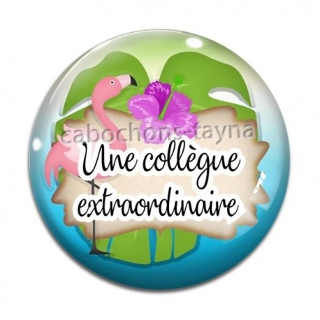 Cabochon Verre - une collègue extraordinaire
