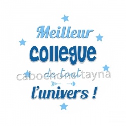 meilleur collègue de tout l'univers