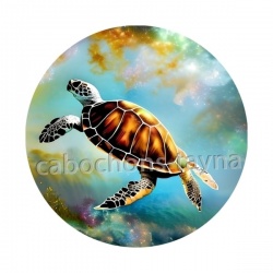 tortue