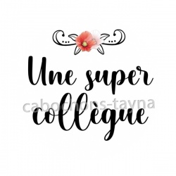 une super collègue