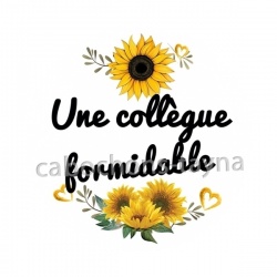 une collègue formidable