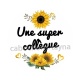 une super collègue