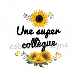 une super collègue