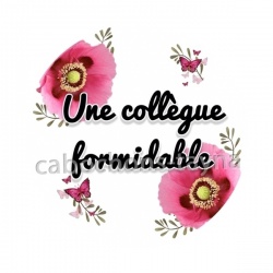 une collègue formidable