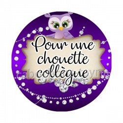 pour une chouette collègue