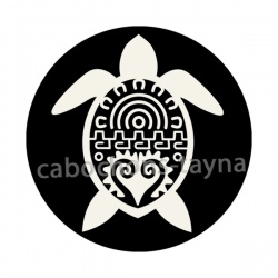 tortue