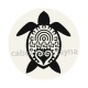 tortue