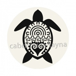 tortue