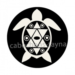 tortue