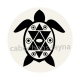 tortue