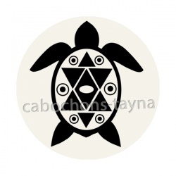 tortue