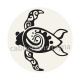 tortue
