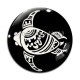 Cabochon Verre - tortue