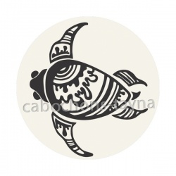 tortue