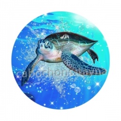tortue