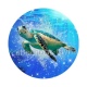tortue