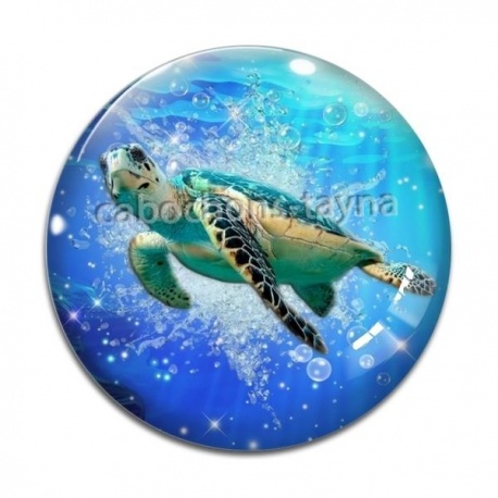 Cabochon Verre - tortue