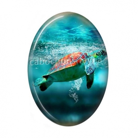 Cabochon Résine Ovale - tortue