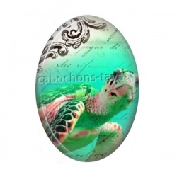 tortue