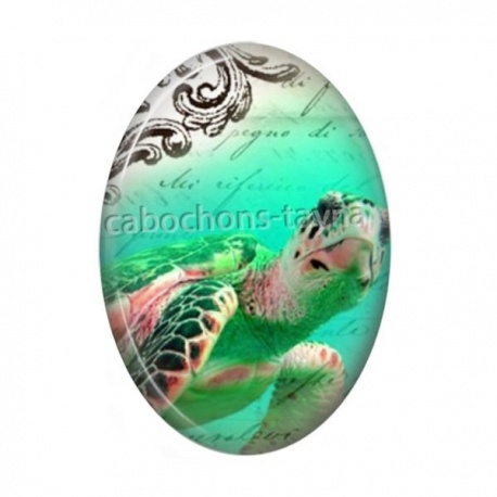 Cabochon Résine Ovale - tortue