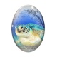 Cabochon Verre Ovale - tortue