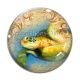 Cabochon Verre - tortue