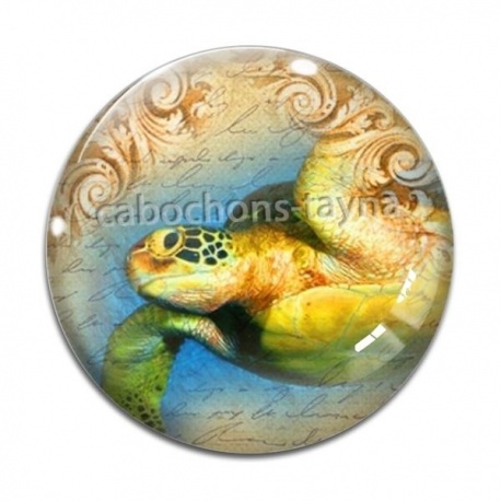 Cabochon Verre - tortue