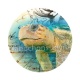 tortue