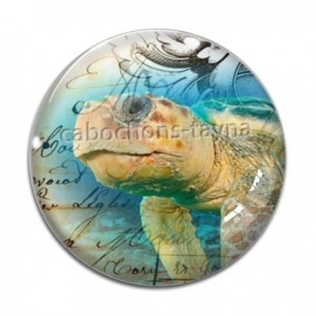 Cabochon Verre - tortue