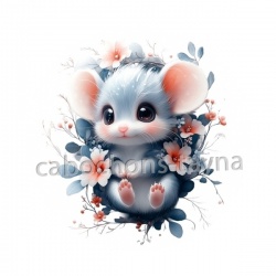 souris