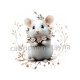 souris