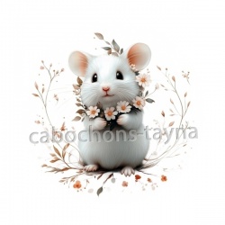 souris