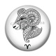 Cabochon Résine - signe astrologie