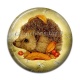 Cabochon Résine -  hérisson