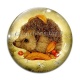 Cabochon Verre -  hérisson