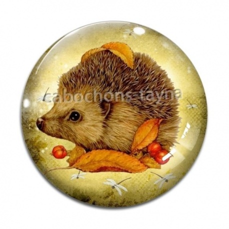 Cabochon Verre -  hérisson