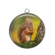 Pendentif Cabochon Argent - écureuil