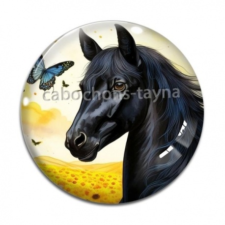 Cabochon Verre - cheval