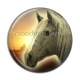 Cabochon Résine - cheval