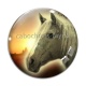 Cabochon Verre - cheval