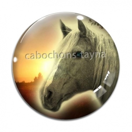 Cabochon Verre - cheval