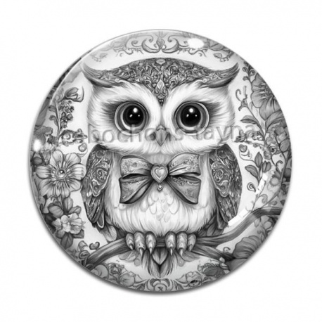 Cabochon Verre - chouette