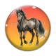 Cabochon Verre - cheval