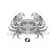 signe astrologie