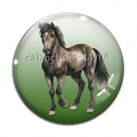 Cabochon Verre - cheval