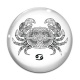 Cabochon Verre - signe astrologie