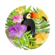 toucan