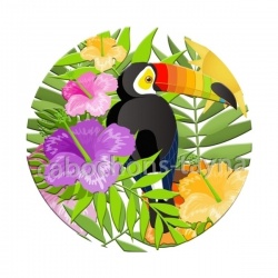 toucan