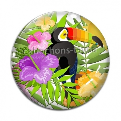 Cabochon Verre - toucan