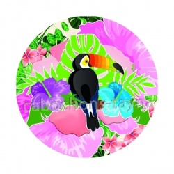 toucan